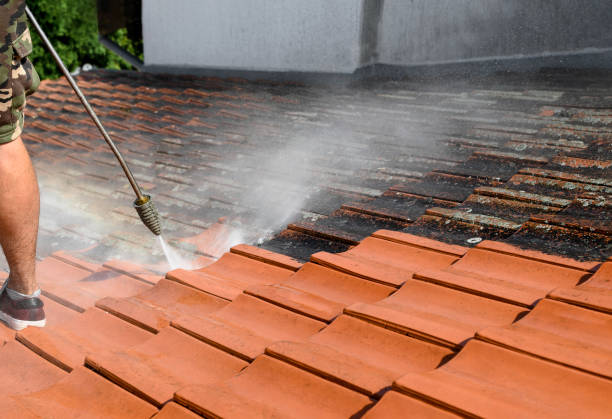 Best Commercial Building Pressure Washing  in Ridgeville, SC